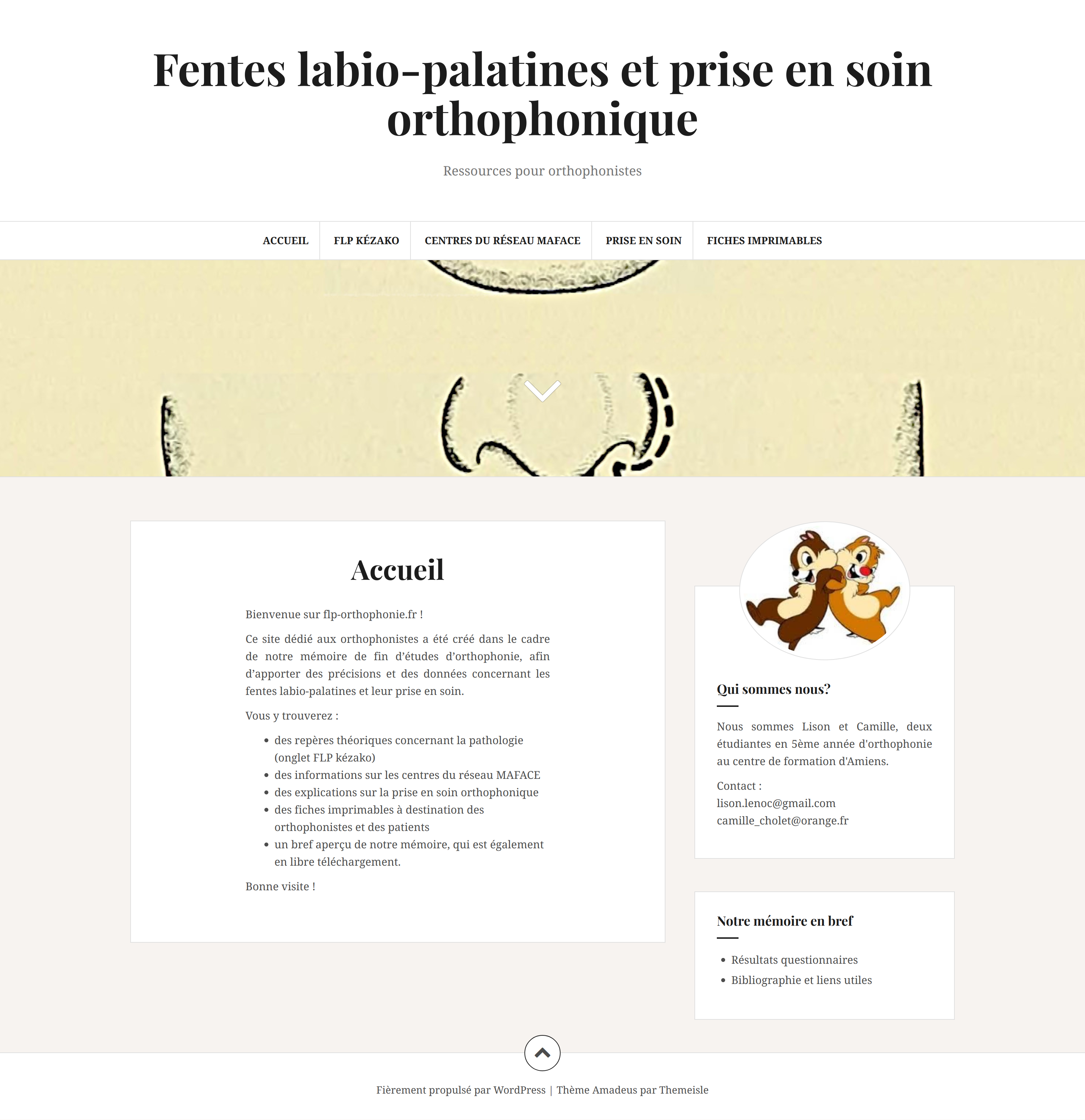 Site Internet "Fentes labio-palatines et prise en soin orthophonique"