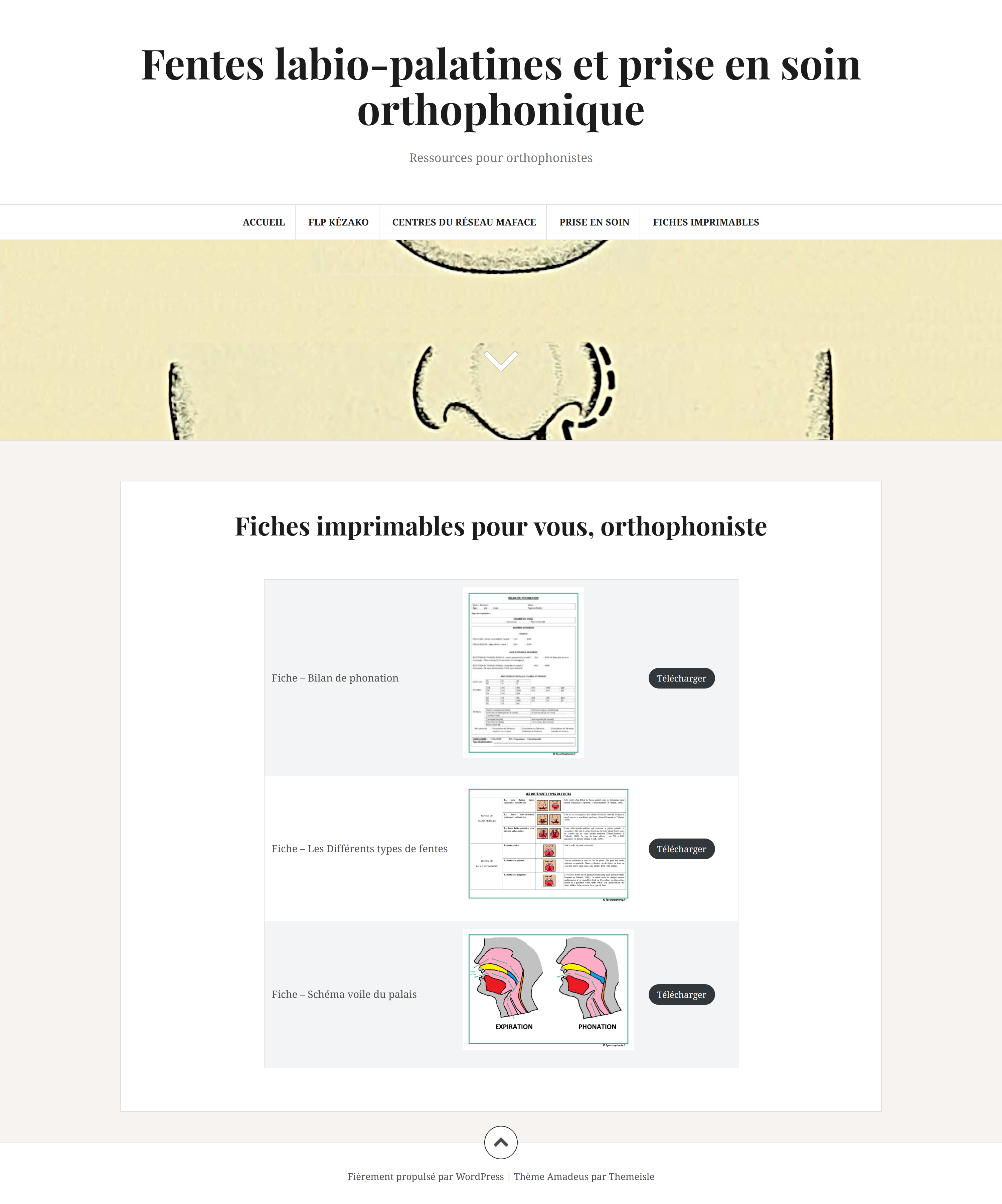 Site Internet "Fentes labio-palatines et prise en soin orthophonique"